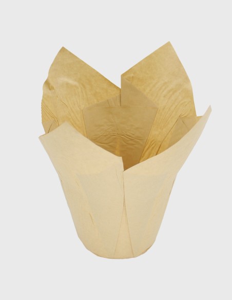 Cache-Pot Papier