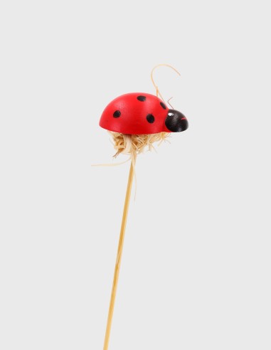 Pic à Coccinelle