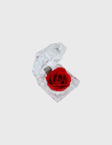 Mini Rose Eternelle en Boîte Acrylique | Ideefleur SL