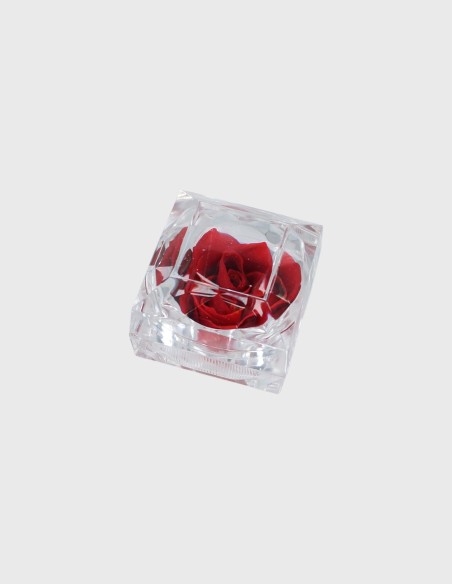 Mini Rose Eternelle en Boîte Acrylique | Ideefleur SL
