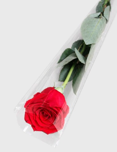 Housses à Roses Modèle Transparent