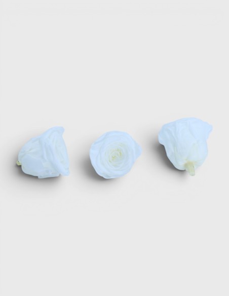 Bouton (Têtes) de Rose Stabilisée Lovebay