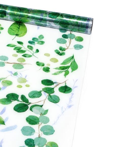 Transparente Zellophanfolie mit Eukalyptusmuster