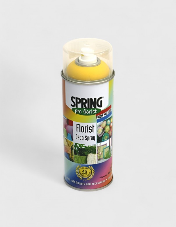 Flacon de peinture en aérosol pour fleur naturelle SPRING
